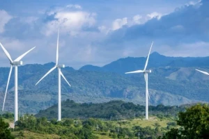 Nhiều doanh nghiệp điện gió Quảng Trị lo phá sản