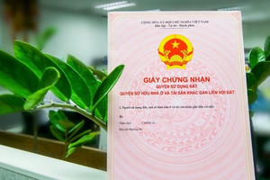 Kể từ nay, chỉ cần đáp ứng điều kiện này một thửa đất có thể được cấp 2 sổ đỏ