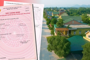 Từ nay, những trường hợp đất vướng mắc này vẫn được xem xét cấp sổ đỏ