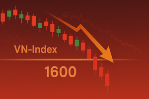 Nhận định chứng khoán 10 - 14/11: Thủng 1.600 điểm, VN-Index sẽ đi về đâu?