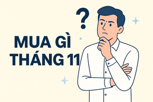 Agriseco Research chọn ra 6 cổ phiếu tiềm năng trong tháng 11, cơ hội lãi 12 - 18%