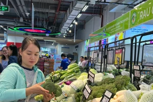 Sản lượng rau củ về TPHCM giảm mạnh: Giá tăng chóng mặt