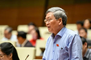 Sinh đủ 2 con sau 35 tuổi không được hỗ trợ, đại biểu nói 'không công bằng'