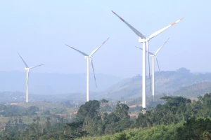 NSMO lên tiếng việc cắt giảm đột ngột công suất dự án điện gió Quảng Trị