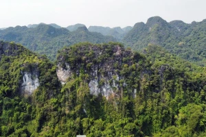 Hải Phòng muốn sử dụng nguồn thu từ tín chỉ carbon