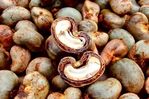 Là 'ông trùm' xuất khẩu, Việt Nam vẫn chi hơn 4 tỷ USD nhập mặt hàng này