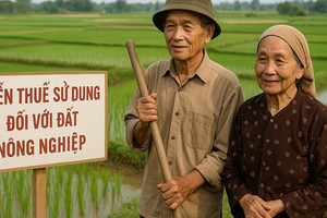 2 tháng tới, các đối tượng này sẽ được miễn thuế sử dụng đất nông nghiệp