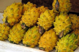 ‘Siêu trái cây’ của Việt Nam khiến người Trung Quốc phát sốt: Xuất khẩu số 1 thế giới, sản lượng 1 triệu tấn/năm