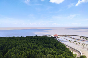 Tỉnh duy nhất Việt Nam có 3 mặt giáp biển: Sở hữu 2 'kho báu xanh' được UNESCO công nhận, quê hương của công tử Bạc Liêu