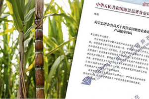 Trung Quốc cấm nhập khẩu một mặt hàng, nhà máy Thái Lan nguy cơ đóng cửa hàng loạt