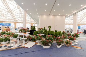 Cận cảnh 'kinh đô triển lãm' VEC trước 'giờ G' mở cửa Tuần lễ Công nghiệp & Công nghệ Việt Nam 2025