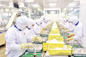 Xuất khẩu nông, lâm, thủy sản sang Trung Quốc vượt 10 tỷ USD: Cơ hội vàng từ hợp tác chính ngạch