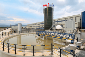 Ông lớn ngành giấy tái chế lãi 9 tháng tăng 87%, nắm gần 800 tỷ đồng tiền mặt