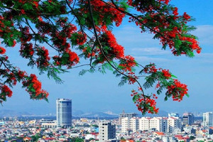 Hải Phòng chuẩn bị áp dụng bảng giá đất mới, mức cao nhất dự kiến lên tới 160 triệu đồng/m2