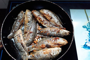 'Gà nước' được Mỹ đánh giá tốt hơn cá hồi: Việt Nam chỗ nào cũng bán, nhà nào cũng ăn