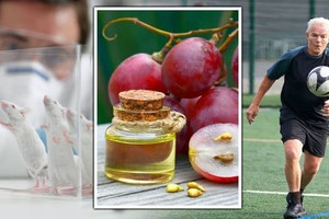 Startup Trung Quốc chế tạo được sản phẩm mà Tần Thủy Hoàng dành cả đời theo đuổi