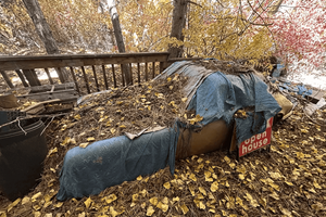 Siêu phẩm Porsche 911 Targa 'ngủ quên' suốt 31 năm trong rừng, tình trạng của xe khiến nhiều người phải thốt lên vì bất ngờ