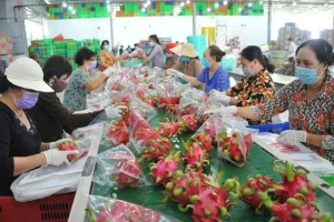 Quy định mới về truy xuất sản phẩm của Trung Quốc tác động gì tới hàng Việt?