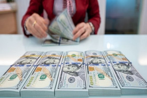 Tỷ giá USD hôm nay 14/11: Đồng USD giảm giá, thị trường tự do đi ngược chiều