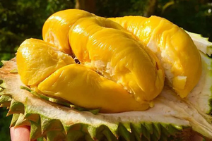 Một mặt hàng 'vàng' của Việt Nam bứt phá ngoạn mục tại Trung Quốc