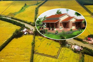 Kể từ nay, phải đáp ứng điều kiện này mới được chuyển đất trồng lúa sang đất ở nông thôn
