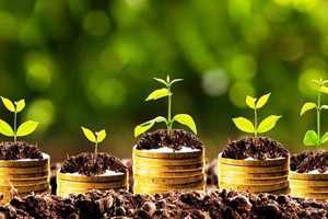 Điểm danh 5 doanh nghiệp sắp chốt trả cổ tức tỷ lệ trên 20% bằng tiền, cao nhất lên tới 85%