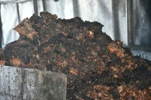 Kinh hoàng: Phát hiện lò chế biến mỡ bẩn giữa nghĩa trang, hoạt động lén lút suốt thời gian dài