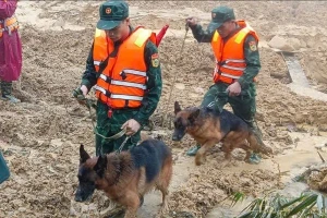 Đưa cảnh khuyển tìm kiếm người mất tích trong vụ sạt lở kinh hoàng ở Đà Nẵng