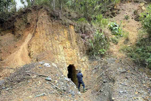 Tập kích, khống chế Bùi Văn Thanh và đồng bọn, tịch thu 18 cây vàng, 110 bao quặng