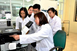 Tại TP.HCM những người làm công việc này có thể được nhận lương tới 100 triệu đồng/tháng và thưởng tối đa 1 tỷ