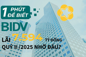 1 phút để biết BIDV lãi 7.594 tỷ đồng quý III/2024 nhờ đâu?