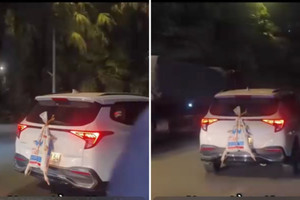 'Đôi vịt tiền triệu' trên đường