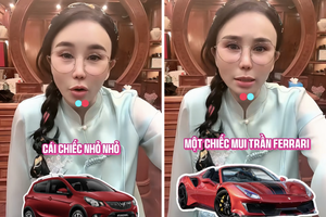 Sở hữu khối tài sản kếch xù, Mailisa gây bất ngờ khi chỉ đứng tên 2 chiếc xe: Một VinFast Fadil 300 triệu và một Ferrari 35 tỷ