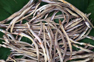 Loài cá nhỏ 'như chiếc đũa tre' ở miền Tây: Xưa rẻ bèo, nay phơi khô bán 200.000 đồng/kg, ăn một lần là nhớ cả đời