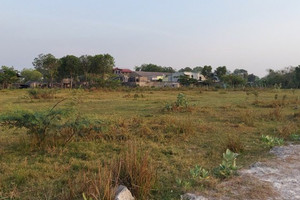 Người đàn ông mua đất trồng cây bị cả xóm cười chê, một năm sau nhận về số tiền bạc tỷ