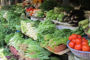 Người dân Hà Nội 'đứng hình' nghe báo giá rau xanh, chấp nhận mua một quả cà chua, nửa mớ rau ăn qua ngày