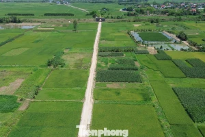 Hà Nội: Cử tri kiến nghị điều chỉnh 'nới' quy định về tách thửa