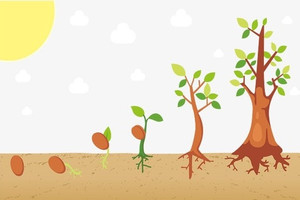 HoSE sắp ra mắt rổ chỉ số mới, nhắm đến doanh nghiệp trả cổ tức tiền mặt 3 năm liên tục