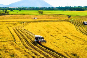 NÓNG: Đề xuất thêm 3 trường hợp Nhà nước thu hồi đất