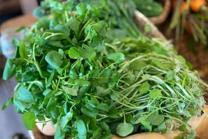 Việt Nam có loại rau được cho là tốt nhất thế giới, CDC Mỹ chấm 100/100 điểm, giá cực rẻ