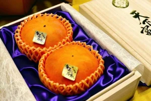 Ngỡ ngàng cặp hồng được bán với giá kỷ lục 187 triệu đồng