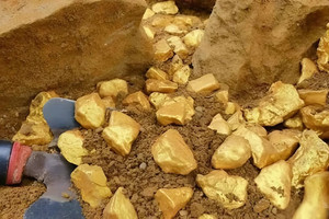 Phong tỏa khẩn cấp 150 tấn vàng, trị giá hơn 120.000 tỷ trong vườn của một người nông dân