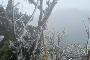 Ngay lúc này, Việt Nam xuất hiện băng tuyết