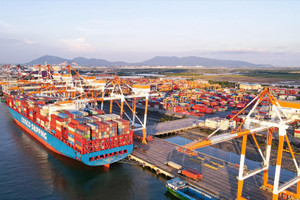 Gặp Tổng Bí thư, tập đoàn vận tải Maersk ngỏ ý đầu tư cảng container hiện đại tại Việt Nam