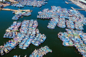 Khánh thành dự án nâng cấp cảng cá lớn nhất miền Trung, tiếp nhận 300 tàu/ngày