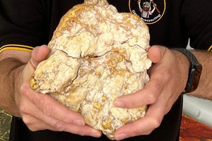 Người đàn ông bẻ đôi cục đá, phát hiện 69 cây vàng bên trong, trị giá hơn 10 tỷ đồng