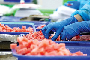 'Siêu thực phẩm' Việt lên ngôi: Thu về gần 800 triệu USD, EU - Italy tích cực chốt đơn, Ai Cập thành 'điểm vàng'