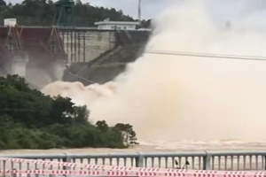 Lâm Đồng thiệt hại hơn 800 tỷ đồng do mưa lũ, kiến nghị hỗ trợ 600 tỷ đồng