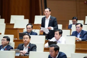 Đại biểu ngành y muốn gặp người chấp bút báo cáo gửi Quốc hội