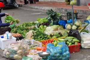 Rau củ đắt hơn thịt, người Hà Nội choáng như bị 'móc túi'
